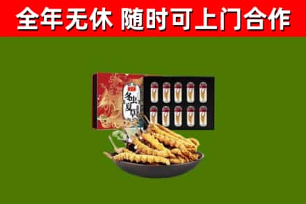 谢岗镇回收冬虫夏草价格