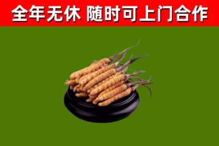 谢岗镇烟酒回收冬虫夏草.jpg